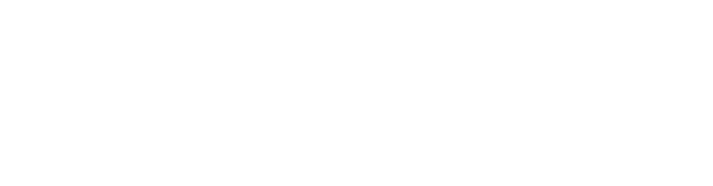 Echo911
